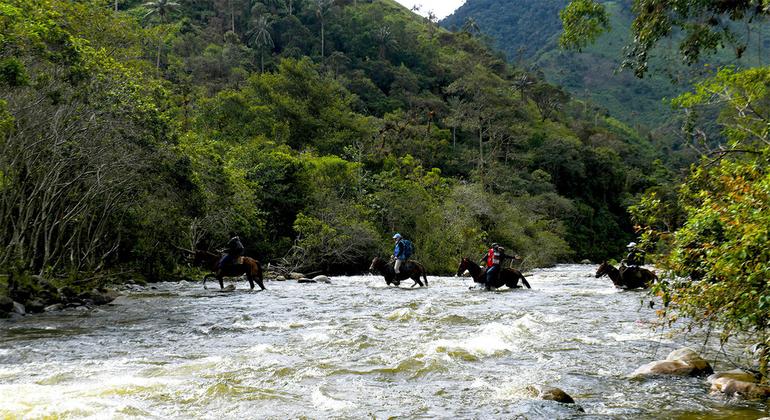 Colombie : des défis demeurent pour consolider la paix, prévient l’envoyé de l’ONU